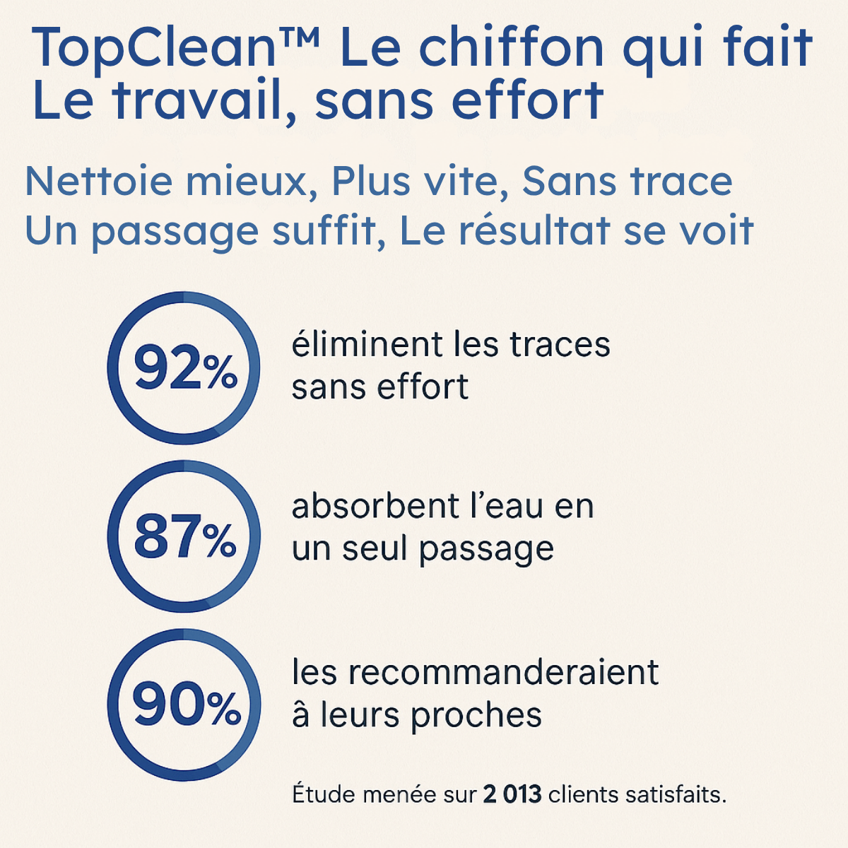 TopClean- Chiffon en Fibre de Carbone